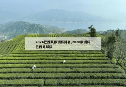 2024巴西队欧洲杯排名,2020欧洲杯巴西足球队