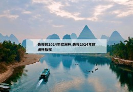 央视网2024年欧洲杯,央视2024年欧洲杯版权