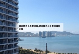 欧洲杯怎么没有德国,欧洲杯怎么没有德国队比赛