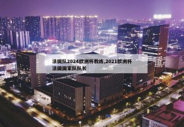 法国队2024欧洲杯教练,2021欧洲杯法国国家队队长