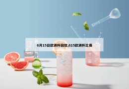 6月15日欧洲杯回放,615欧洲杯比赛