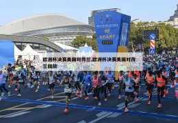 欧洲杯决赛美国对荷兰,欧洲杯决赛美国对荷兰回放