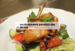 iptv可以看欧洲杯吗,智能电视怎么看欧洲杯直播