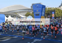 海南陵南比分,海南对陵南比分