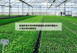 欧洲杯意大利对阵希腊曼联,欧洲杯赛程2021意大利对西班牙