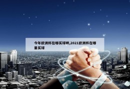 今年欧洲杯在哪买球啊,2021欧洲杯在哪里买球