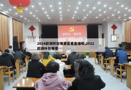 2024欧洲杯在哪里能看直播呢,2022欧洲杯在哪看