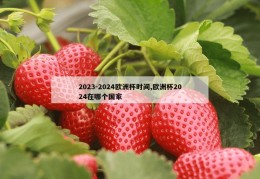 2023-2024欧洲杯时间,欧洲杯2024在哪个国家