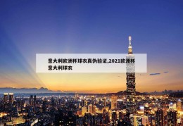 意大利欧洲杯球衣真伪验证,2021欧洲杯意大利球衣