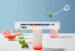 欧洲杯中文解说视频直播,欧洲杯 cctv5 解说