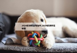 2024欧洲杯全场加时,2024欧洲杯在哪里