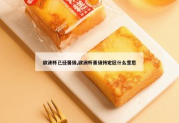 欧洲杯已经晋级,欧洲杯晋级待定区什么意思