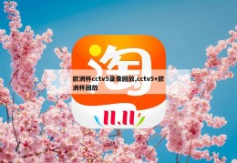 欧洲杯cctv5录像回放,cctv5+欧洲杯回放