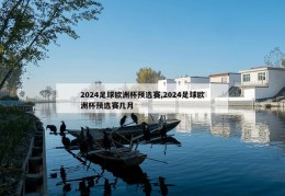 2024足球欧洲杯预选赛,2024足球欧洲杯预选赛几月