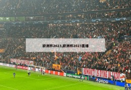 欧洲杯2023,欧洲杯2023直播